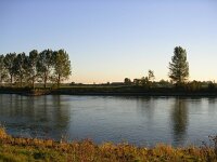 NL, Gelderland, Rheden, Havikerwaard 7, Saxifraga-Henk Sierdsema