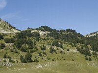 F, Drome, Treschenu-Creyers, Vallon de Combeau 74, Saxifraga-Willem van Kruijsbergen
