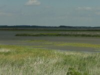 H, Hadju-Bihar, Hortobagy 10, Saxifraga-Dirk Hilbers