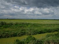 H, Hadju-Bihar, Hortobagy 6, Saxifraga-Dirk Hilbers