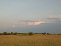 H, Hadju-Bihar, Hortobagy, Kurgan 1, Saxifraga-Bas Klaver