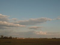 H, Hadju-Bihar, Hortobagy, Puszta 1, Saxifraga-Bas Klaver