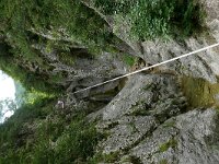 F, Drome, Rochefort-Samson, Gorg de Combe d'Oyans, Saxifraga-Tom Heijnen