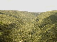 F, Vaucluse, Sault, Gorges de la Nesque 1, Saxifraga-Willem van Kruijsbergen