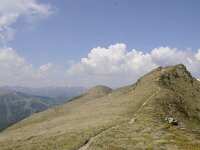 A, Kaernten, Reichenau, Schoberriegel 31, Saxifraga-Luuk Vermeer