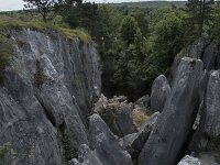 B, Namur, Viroinval, Fondry des Chiens 45, Saxifraga-Willem van Kruijsbergen