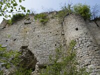 B, Namur, Viroinval, La Haute Roche 11, Saxifraga-Willem van Kruijsbergen