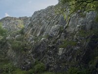 B, Namur, Viroinval, La Haute Roche 5, Saxifraga-Willem van Kruijsbergen