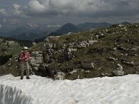 F, Drome, Treschenu-Creyers, Vallon de Combeau 44, Saxifraga-Jan van der Straaten