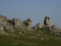 F, Lozere, Fraissinet-de-Fourques, Nimes-le-Vieux 7, Saxifraga-Dirk Hilbers