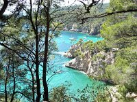 F, Var, Saint-Cyr-sur-Mer, Sentier Littoral 3, Saxifraga-Tom Heijnen