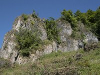 D, Rheinland-Pfalz, Gerolstein, Munterley 2, Saxifraga-Willem van Kruijsbergen