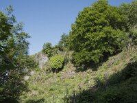 D, Rheinland-Pfalz, Gerolstein, Munterley 3, Saxifraga-Willem van Kruijsbergen