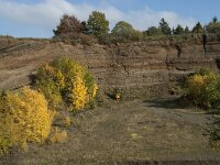 D, Rheinland-Pfalz, Gerolstein, Rockskyll 25, Saxifraga-Willem van Kruijsbergen