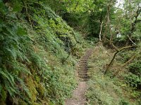D, Rheinland-Pfalz, Rohrbach, Rohrbachtal 1, Saxifraga-Foto Fitis-Sytske Dijksen