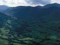 GB, Cumbria, Keswick, Maiden Moor 7 Saxifraga-Jan van der Straaten