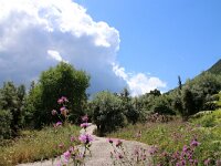 GR, Ionia Nisia, Lefkas 10, Saxifraga-Foto Fitis-Sytske Dijksen