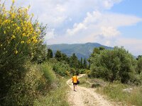 GR, Ionia Nisia, Lefkas 9, Saxifraga-Foto Fitis-Sytske Dijksen