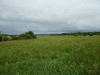 IRL, Clare County, The Burren 1, Saxifraga-Kees Laarhoven
