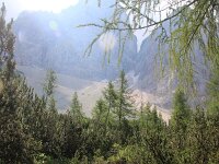 I, Belluno, Borca di Cadore, Monte Pellmo 4, Saxifraga-Foto Fitis-Sytske Dijksen