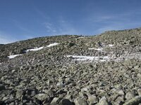 N, Buskerud, Hol, Prestholtskaret 42, Saxifraga-Willem van Kruijsbergen