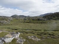 N, Finnmark, Nordkapp, Gjesvaer 28, Saxifraga-Willem van Kruijsbergen