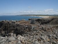 P, Faro, Aljezur, Carrapateira 178, Saxifraga-Willem van Kruijsbergen