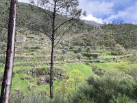 P, Castelo Branco, Covilha, Cortes do Meio 2, Saxifraga-Kees Marijnissen