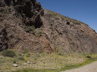 E, Almeria, Nijar, Cabo de Gata 50, Saxifraga-Willem van Kruijsbergen