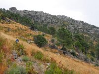 E, Avila, Guisando, Galayos valley 25, Saxifraga-Tom Heijnen