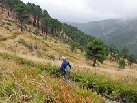 E, Avila, Guisando, Galayos valley 38, Saxifraga-Tom Heijnen
