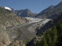 CH, Wallis, Riederalp, Grosser Aletschgletscher 30, Saxifraga-Willem van Kruijsbergen
