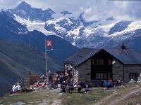 CH, Wallis, Saas-Almagell, Taeschhuette 4, Saxifraga-Jan van der Straaten