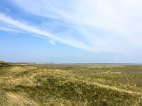 D, Schleswig-Holstein, List, Ellebogen 1, Saxifraga-Bart Vastenhouw