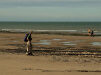 F, Pas-de-Calais, Wissant 16, Saxifraga-Jan van der Straaten