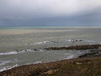 F, Pas-de-Calais, Wissant 34, Saxifraga-Foto Fitis-Sytske Dijksen