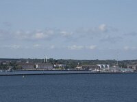 D, Schleswig-Holstein, Kiel 16, Saxifraga-Willem van Kruijsbergen