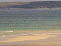 GB, Cornwall, Hayle 1, Saxifraga-Foto Fitis- Sytske Dijksen