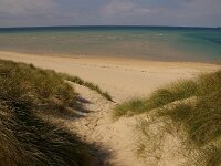 GB, Cornwall, Hayle 5, Saxifraga-Foto Fitis- Sytske Dijksen