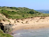 GB, Cornwall, St Minver, Rock 13, Saxifraga-Foto Fitis- Sytske Dijksen