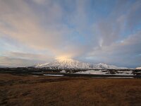 IS, Vesturland, Snaefellsbaer, Malariff 1, Saxifraga-Bart Vastenhouw