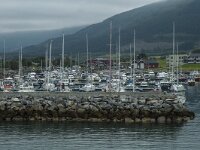 N, Innlandet, Nesna 2, Saxifraga-Marijke Verhagen