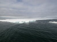 N, Spitsbergen, Fuglesangen 30, Saxifraga-Bart Vastenhouw