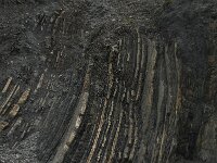 P, Faro, Vila do Bispo, Praia de Castelejo 45, Saxifraga-Willem van Kruijsbergen