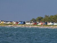 S, Skane Lan, Vellinge, Hovbacken 2, Saxifraga-Foto Fitis-Sytske Dijksen