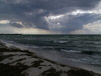 S, Skane Lan, Vellinge, Hovbacken 4, Saxifraga-Foto Fitis-Sytske Dijksen