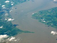 NL, Groningen, Het Hogeland, Eemsdelta, Punt van Reide 1, Saxifraga-Foto Fitis-Sytske Dijksen