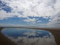 NL, Noord-Holland, Texel, De Hors 170, Saxifraga-Foto Fitis-Sytske Dijksen