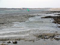 NL, Noord-Holland, Texel, Mokbaai 23, Saxifraga-Foto Fitis-Sytske Dijksen