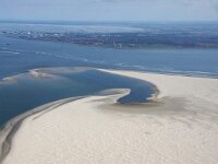 NL, Noord-Holland, Texel, Noorderhaaks 16, Saxifraga-Foto Fitis-Sytske Dijksen
